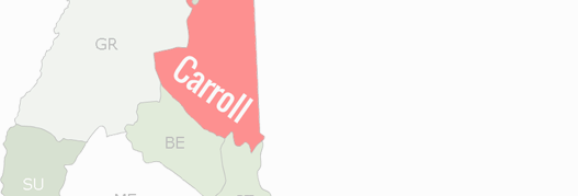 Carroll County Map
